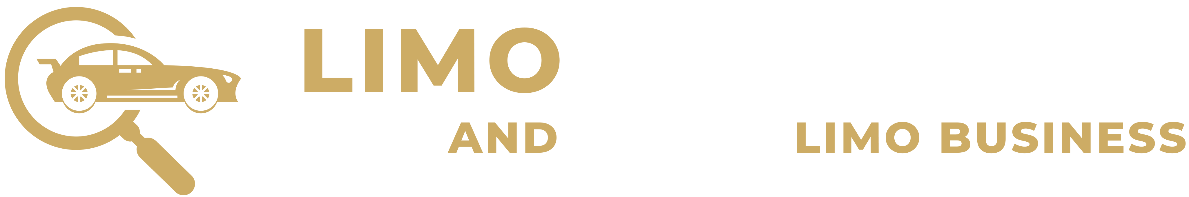 Limo Limousine